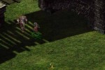 Pool of Radiance: Ruins of Myth Drannor (PC)