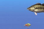 ESPN Great Outdoor Games Bass 2002 (Game Boy Advance)