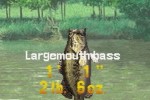 ESPN Great Outdoor Games Bass 2002 (Game Boy Advance)