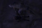 Gothic (PC)