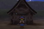 Harvest Moon: Save the Homeland (PlayStation 2)