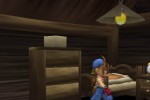 Harvest Moon: Save the Homeland (PlayStation 2)