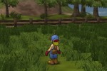 Harvest Moon: Save the Homeland (PlayStation 2)