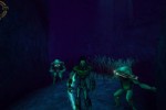 Legacy of Kain: Soul Reaver 2 (PC)