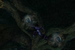 Legacy of Kain: Soul Reaver 2 (PC)