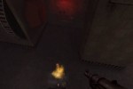 Return to Castle Wolfenstein (PC)