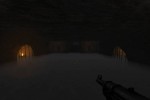 Return to Castle Wolfenstein (PC)