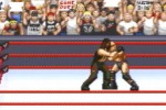 WWF Road to Wrestlemania (Game Boy Advance)