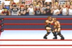 WWF Road to Wrestlemania (Game Boy Advance)