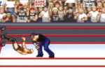 WWF Road to Wrestlemania (Game Boy Advance)