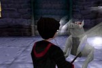 Harry Potter and the Sorcerer's Stone (PlayStation)