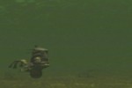 Oddworld: Munch's Oddysee (Xbox)