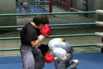 Victorious Boxers: Ippo's Road to Glory (PlayStation 2)