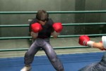 Victorious Boxers: Ippo's Road to Glory (PlayStation 2)