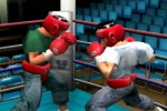 Victorious Boxers: Ippo's Road to Glory (PlayStation 2)