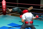 Victorious Boxers: Ippo's Road to Glory (PlayStation 2)