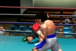 Victorious Boxers: Ippo's Road to Glory (PlayStation 2)