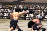 Victorious Boxers: Ippo's Road to Glory (PlayStation 2)