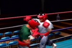 Victorious Boxers: Ippo's Road to Glory (PlayStation 2)