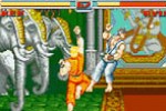 Super Street Fighter II: Turbo Revival (Game Boy Advance)