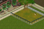 Zoo Tycoon (PC)