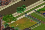 Zoo Tycoon (PC)