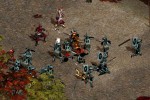 Throne of Darkness (PC)