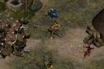 Throne of Darkness (PC)