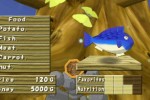 Monster Rancher 3 (PlayStation 2)