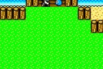 Dragon Warrior Monsters 2: Cobi's Journey (Game Boy Color)