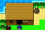 Dragon Warrior Monsters 2: Cobi's Journey (Game Boy Color)