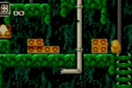 Toki Tori (Game Boy Color)