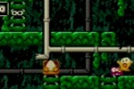 Toki Tori (Game Boy Color)