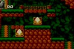 Toki Tori (Game Boy Color)