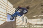 Dave Mirra Freestyle BMX 2 (PlayStation 2)