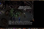 Arcanum: Of Steamworks and Magick Obscura (PC)