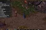 Arcanum: Of Steamworks and Magick Obscura (PC)