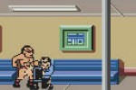 WWF Betrayal (Game Boy Color)