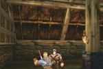 Rune: Viking Warlord (PlayStation 2)