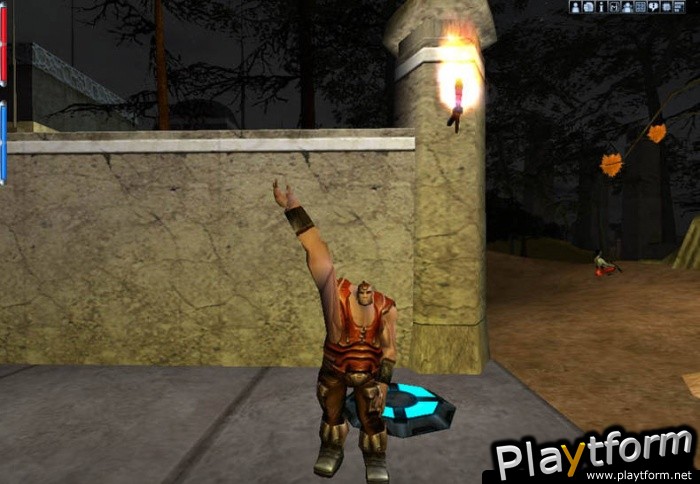 Anarchy Online (PC)
