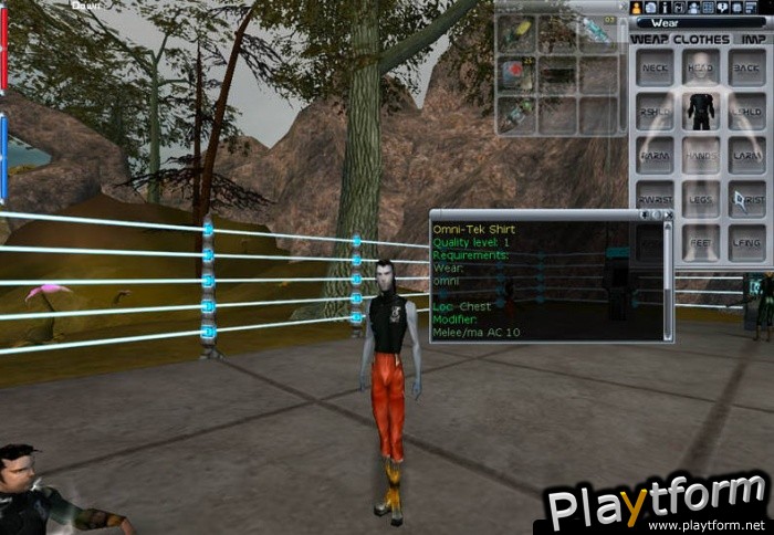 Anarchy Online (PC)