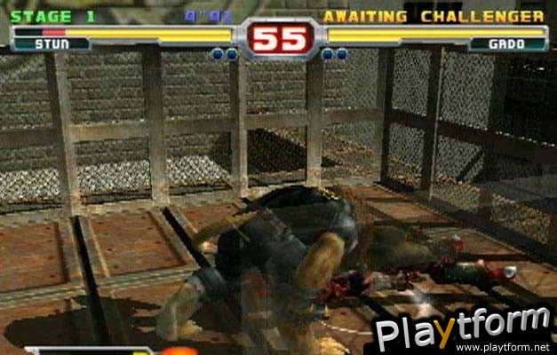 Bloody Roar 3 (PlayStation 2)