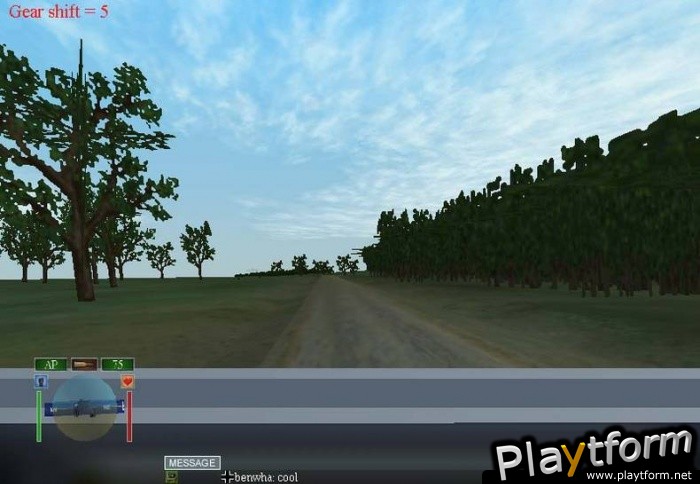 World War II Online: Blitzkrieg (PC)