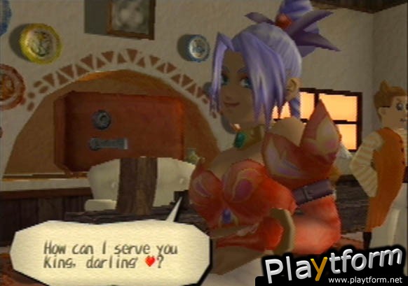 Dark Cloud (PlayStation 2)