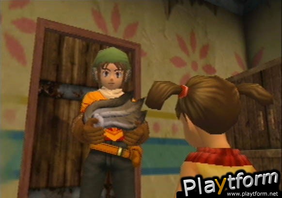 Dark Cloud (PlayStation 2)