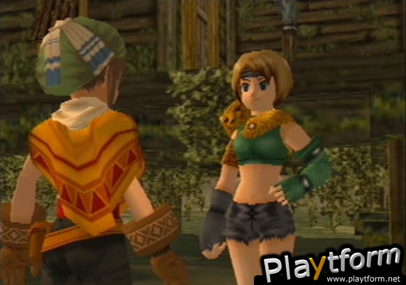 Dark Cloud (PlayStation 2)