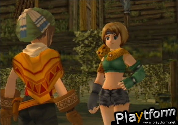 Dark Cloud (PlayStation 2)