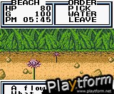 Legend of the River King 2 (Game Boy Color)