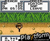 Legend of the River King 2 (Game Boy Color)