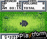Legend of the River King 2 (Game Boy Color)